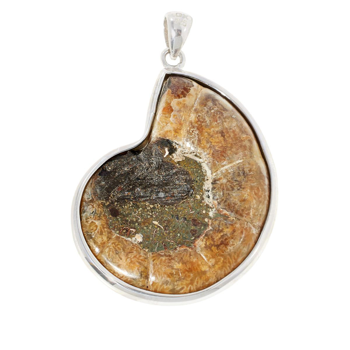 Madagascar Ammonite Pendant